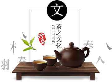 华体会体育